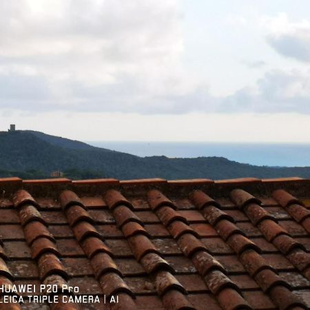 Il Nespolo Castagneto Carducci Exterior foto